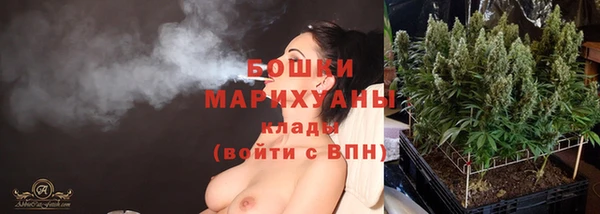 apvp Костерёво