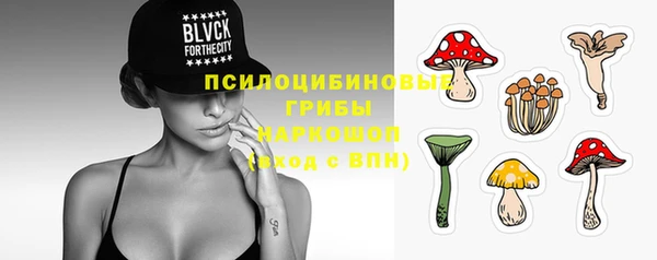 дурь Краснослободск