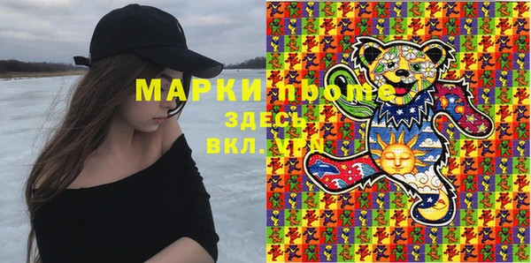 дурь Краснослободск