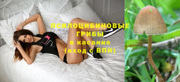 амф Новосибирск