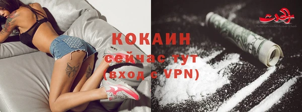 apvp Костерёво