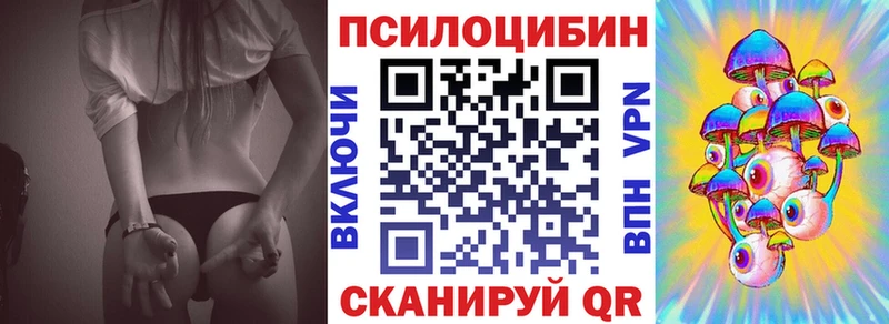 купить   Нижневартовск  Псилоцибиновые грибы Psilocybine cubensis 