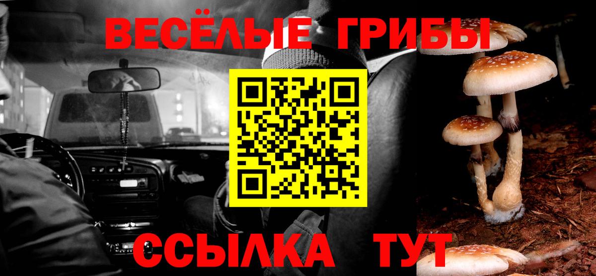 Псилоцибиновые грибы прущие грибы Нижневартовск