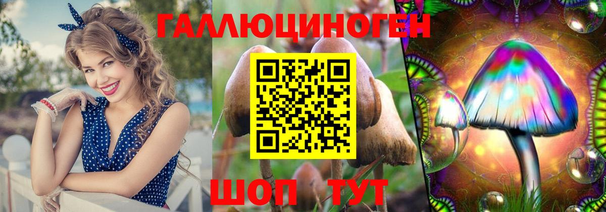 Галлюциногенные грибы Psilocybine cubensis Нижневартовск
